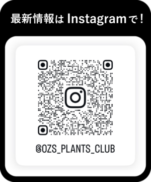 InstagramQRコード