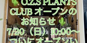 オープンのお知らせ画像