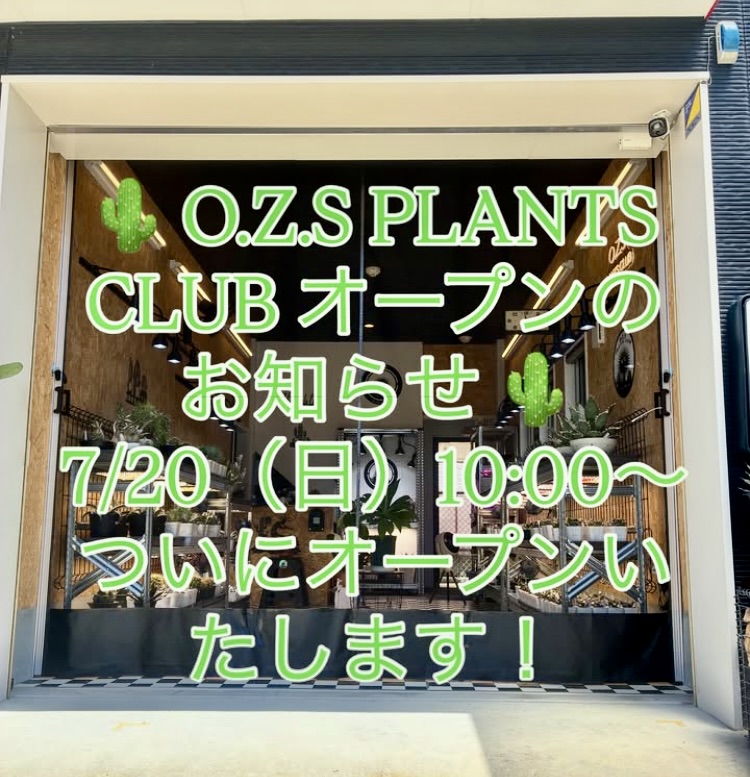 オープンのお知らせ画像